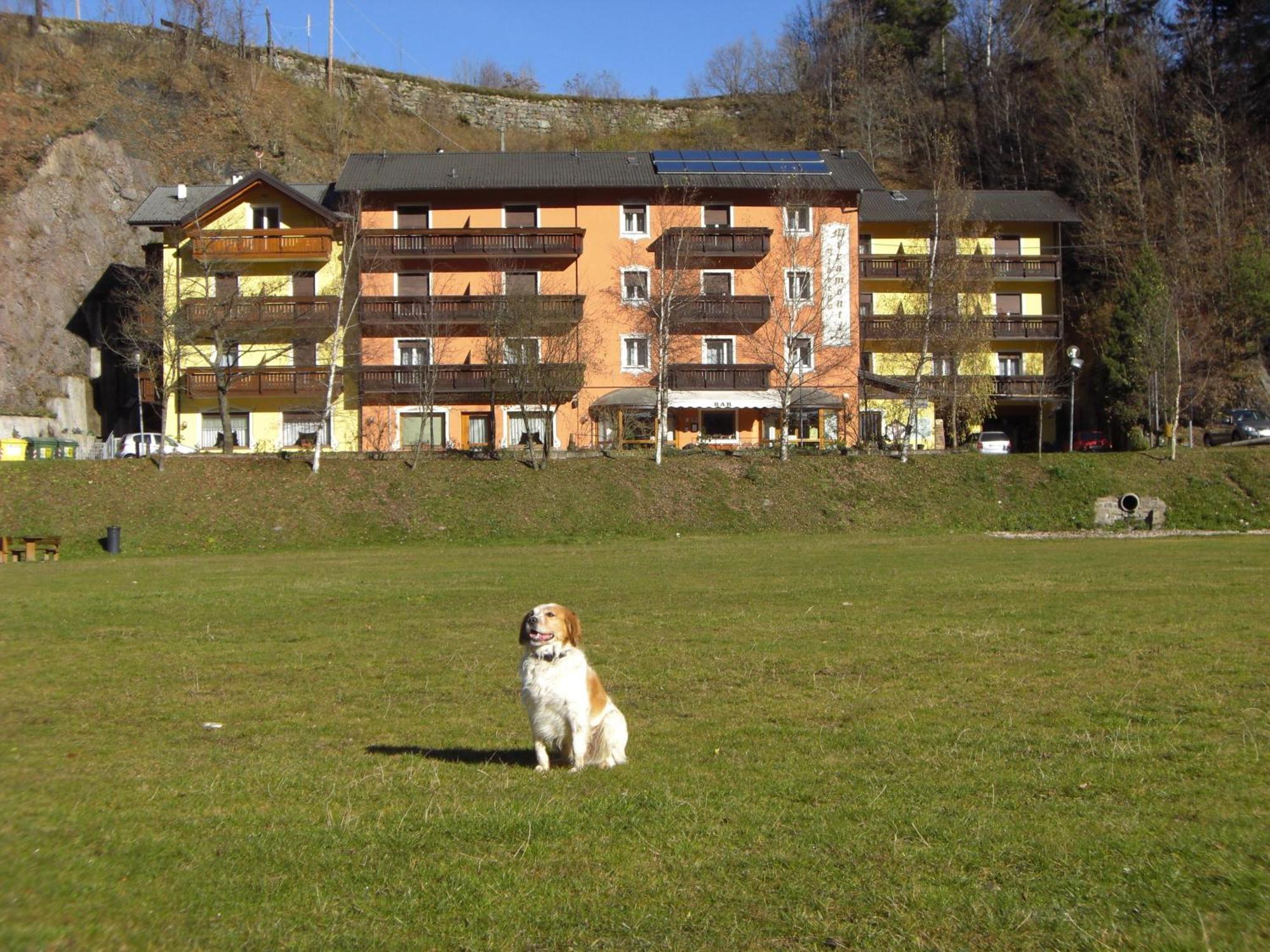 Hotel Miramonti Bedollo Exteriör bild